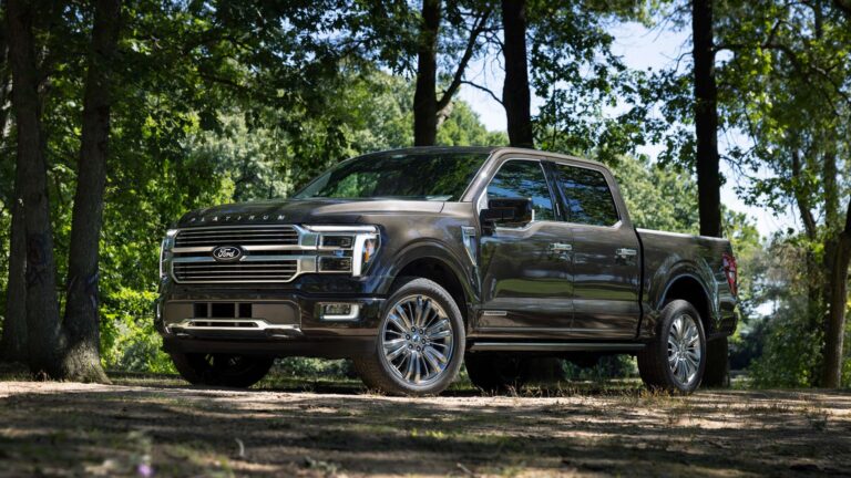Camion Ford F150 gris