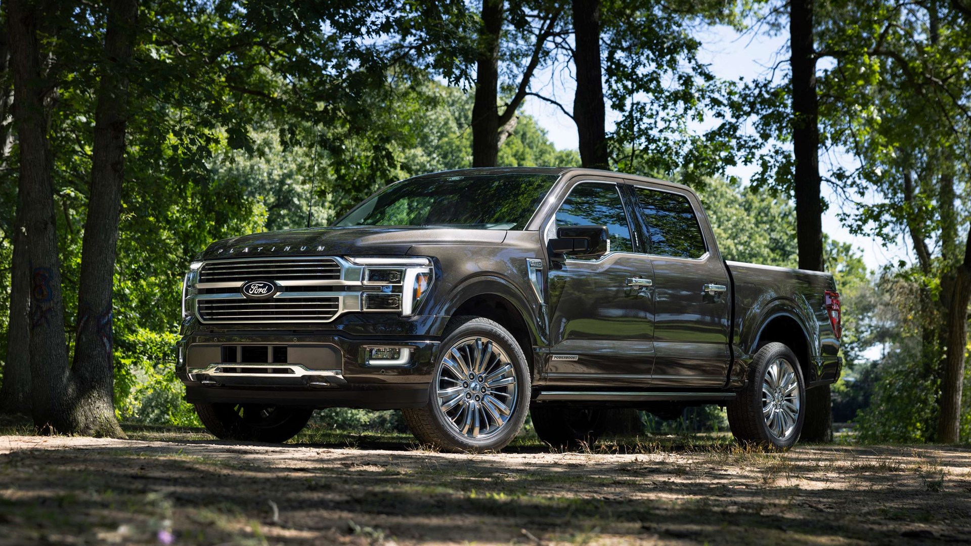 Camion Ford F150 gris